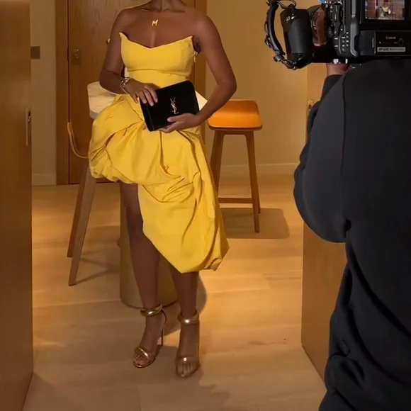 Hanifa Cataleya Corset Dress - brand new - Picture 8 of 10